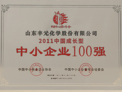 中國成長型中小企業(yè)100強