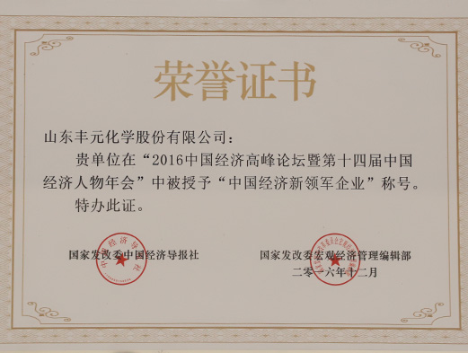 中國經濟新領軍企業(yè)