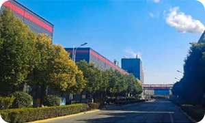 山東棗莊 10萬噸草酸項目