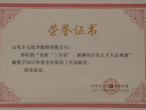 臺兒莊區(qū)組織工作創(chuàng)新獎