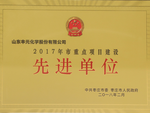 棗莊市重點項目建設先進單位
