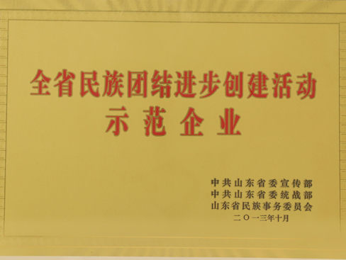 全省民族團結進步創(chuàng)建活動示范企業(yè)